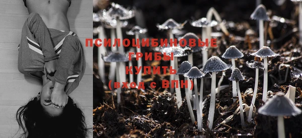 MDMA Белокуриха