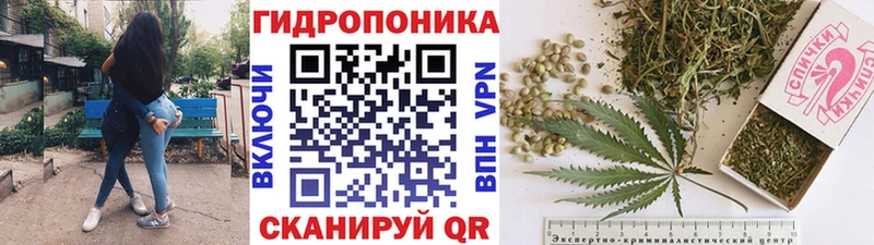 Бошки марихуана Ganja  магазин продажи   Кологрив 